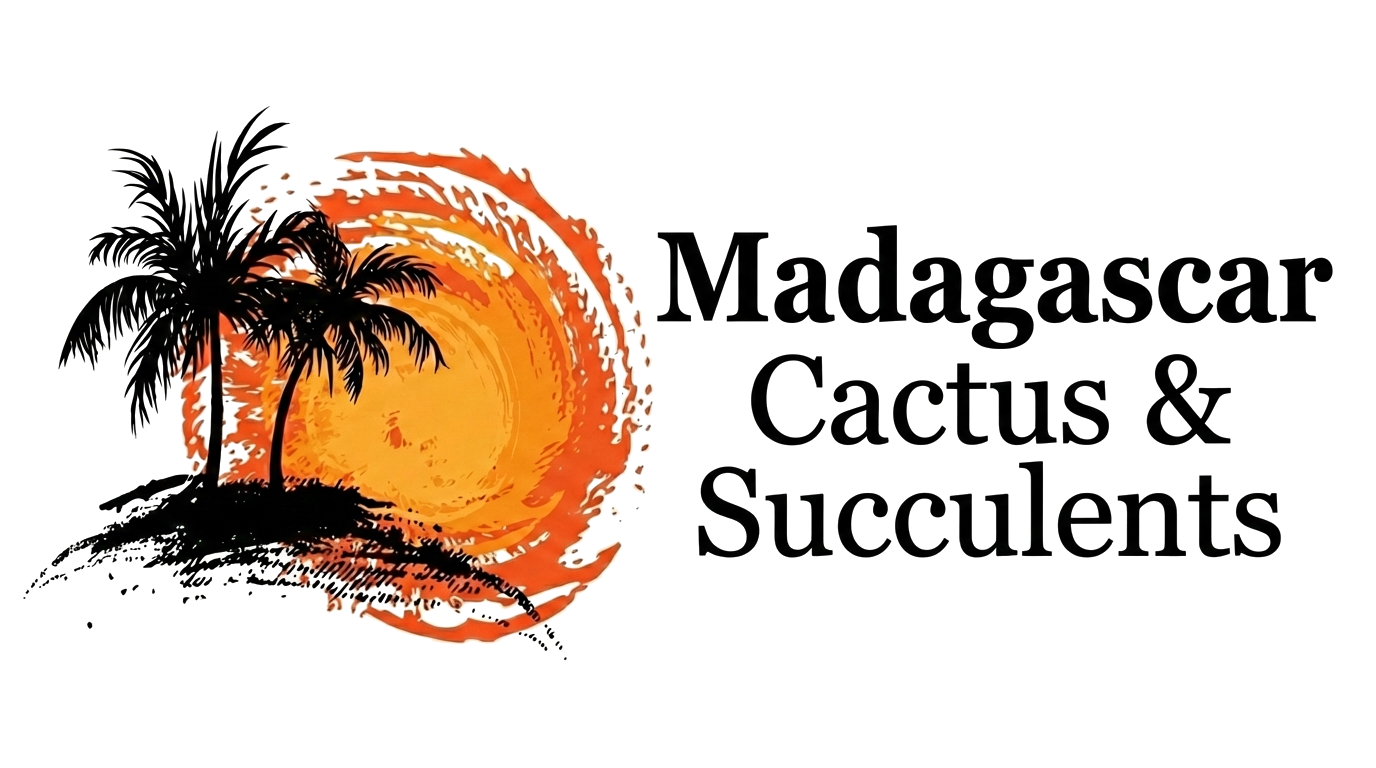 Madagascar Cactus & Succulents